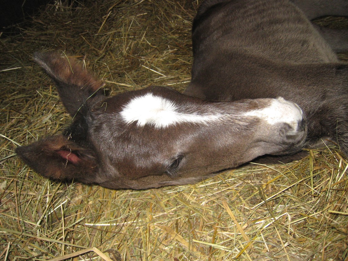 Leonek 15.4.2008
