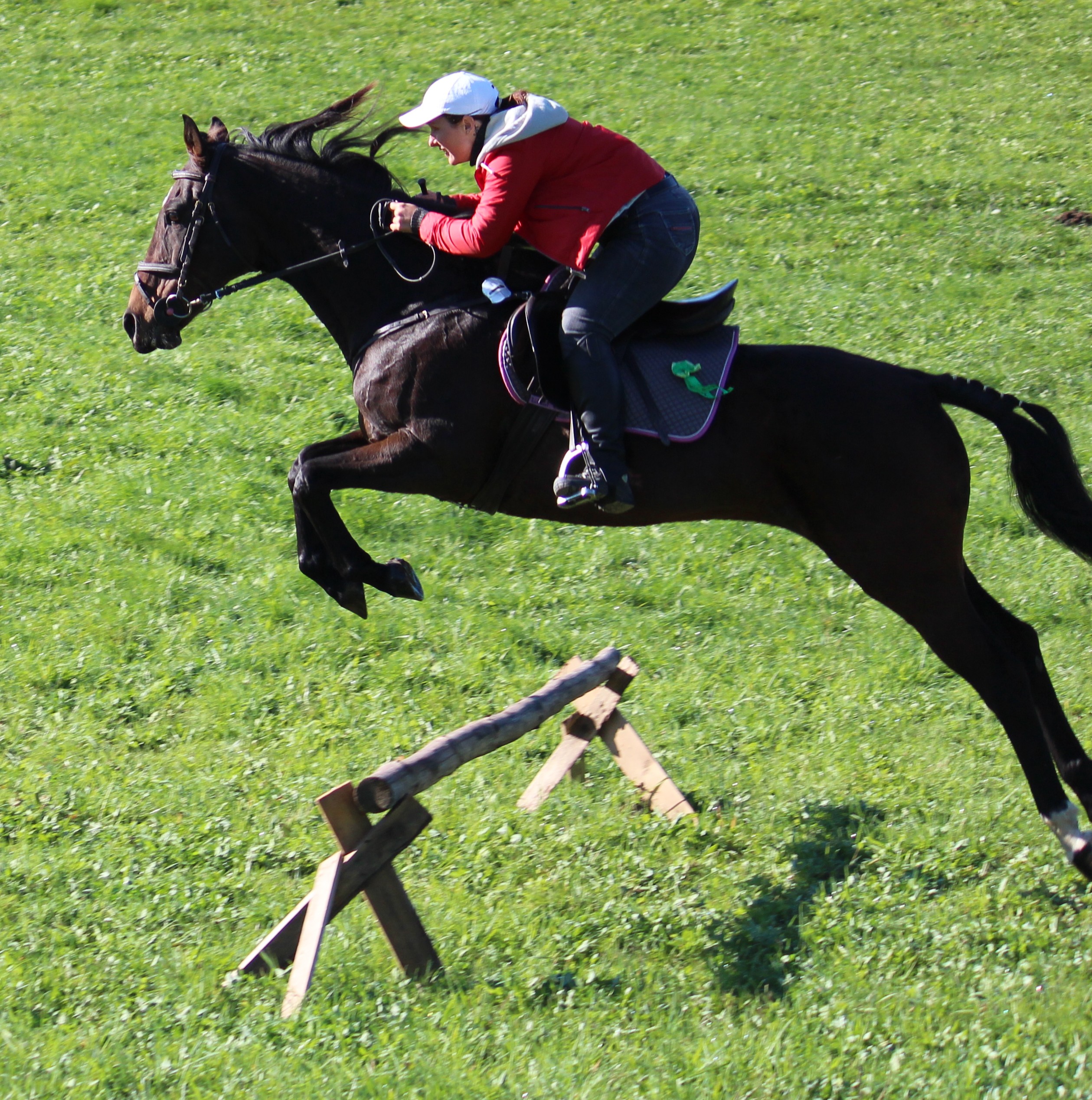 Hubertova jízda Rozsochatec 2011