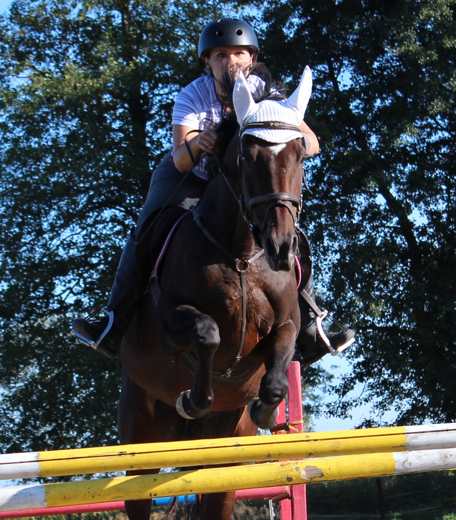 Trénink 2011..